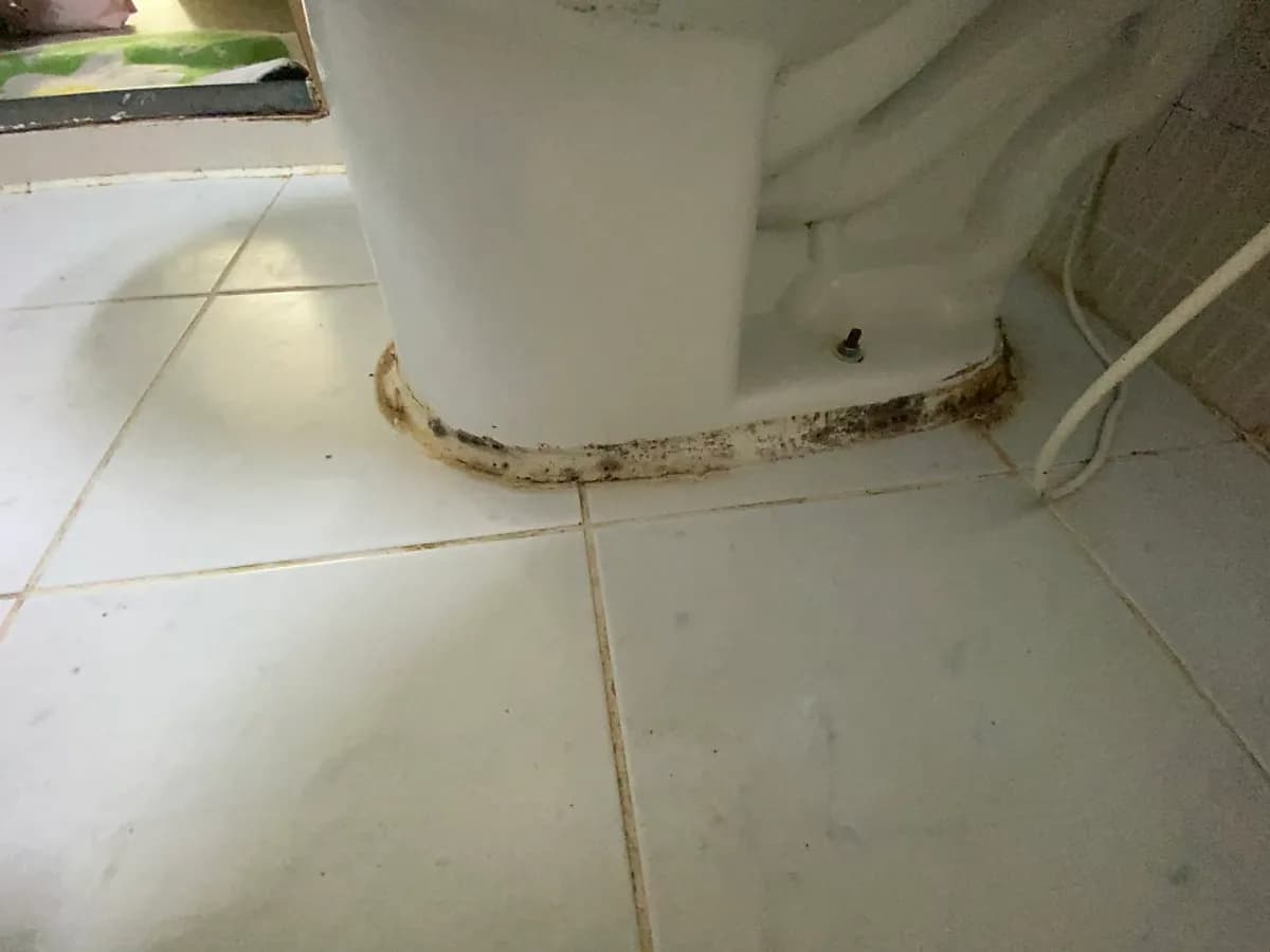 변기 둘레 실리콘 재시공 시공 전